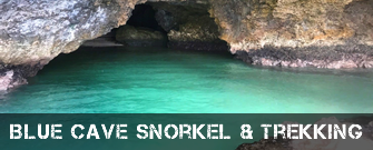 青の洞窟シュノーケル+荒川の滝トレッキングコース