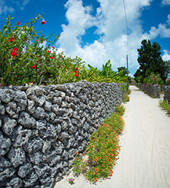 石垣島の石垣